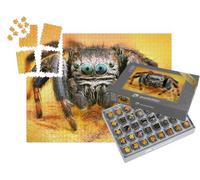 puzzleYOU : Smart Sorted® | Puzzle Photo 1000 pièces « Macrophotographie : Araignée sauteuse Polonaise »