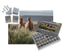 puzzleYOU : Smart Sorted® | Puzzle Photo 1000 pièces « Magnifique Ranch américain de Chevaux Quarter Horse, Wyoming »