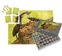 puzzleYOU : Smart Sorted® | Puzzle Photo 1000 pièces « Majestueux cerf-Volant mâle avec Une Femelle Plus Petite »