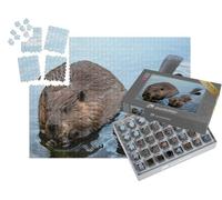 puzzleYOU : Smart Sorted® | Puzzle Photo 1000 pièces « Maman Castor et bébé Castor en Train de mâcher des Branches »