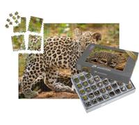 puzzleYOU : Smart Sorted® | Puzzle Photo 1000 pièces « Maman léopard et Son Petit »