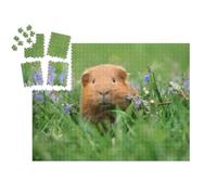 puzzleYOU : Smart Sorted® | Puzzle Photo 1000 pièces « Mignon Cochon d'Inde dans l'herbe »