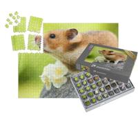 puzzleYOU : Smart Sorted® | Puzzle Photo 1000 pièces « Mignon Hamster sur Une Pierre »