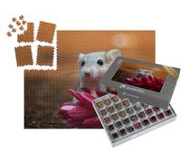 puzzleYOU : Smart Sorted® | Puzzle Photo 1000 pièces « Mignonne gerboise sur Fleur Rose »