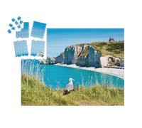 puzzleYOU : Smart Sorted® | Puzzle Photo 1000 pièces « Mouette sur Une Plage rocheuse. Normandie, Côte d'Albatre, France. »