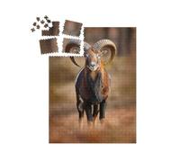 puzzleYOU : Smart Sorted® | Puzzle Photo 1000 pièces « Mouflon, mammifère à Grandes Cornes, Prague »