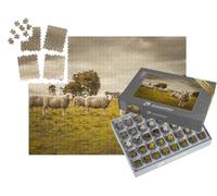 puzzleYOU : Smart Sorted® | Puzzle Photo 1000 pièces « Moutons dans Leur pâturage »