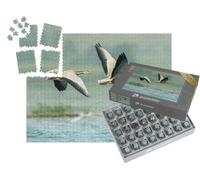 puzzleYOU : Smart Sorted® | Puzzle Photo 1000 pièces « Oies Blanches au-Dessus des Lacs de Bhigwan, Inde »