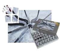 puzzleYOU : Smart Sorted® | Puzzle Photo 1000 pièces « Onze associations »
