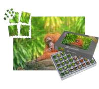 puzzleYOU : Smart Sorted® | Puzzle Photo 1000 pièces « Orang-outan Adulte dans la Jungle »