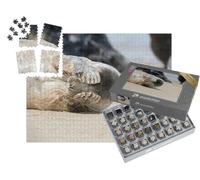 puzzleYOU : Smart Sorted® | Puzzle Photo 1000 pièces « Où est Le Petit Phoque ? »