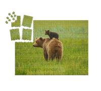puzzleYOU : Smart Sorted® | Puzzle Photo 1000 pièces « Ours Brun côtier : Mère et Petit »