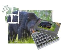 puzzleYOU : Smart Sorted® | Puzzle Photo 1000 pièces « Ours Noir Sauvage dans Les Parcs nationaux de Banff et Jasper, Canada »