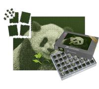 puzzleYOU : Smart Sorted® | Puzzle Photo 1000 pièces « Panda »