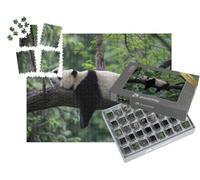 puzzleYOU : Smart Sorted® | Puzzle Photo 1000 pièces « Panda endormi sur Une Branche d'arbre, réserve Naturelle de Bifengxia, Chine »