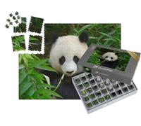 puzzleYOU : Smart Sorted® | Puzzle Photo 1000 pièces « Panda géant dans Les bambous, Chengdu, Chine »