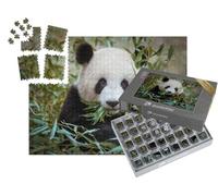 puzzleYOU : Smart Sorted® | Puzzle Photo 1000 pièces « Panda géant, la Bouche Pleine de bambous »