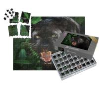 puzzleYOU : Smart Sorted® | Puzzle Photo 1000 pièces « Panthère Noire »