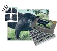 puzzleYOU : Smart Sorted® | Puzzle Photo 1000 pièces « Panthère Noire »