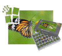 puzzleYOU : Smart Sorted® | Puzzle Photo 1000 pièces « Papillon du Genre Tigre commun sur Une Fleur »