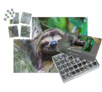 puzzleYOU : Smart Sorted® | Puzzle Photo 1000 pièces « Paresseux, Parc National Manuel Antonio, Costa Rica, Amérique Centrale »