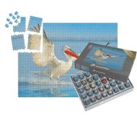 puzzleYOU : Smart Sorted® | Puzzle Photo 1000 pièces « Pélican frisé à Son atterrissage dans Le lac »