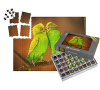 puzzleYOU : Smart Sorted® | Puzzle Photo 1000 pièces « Perruche Jaune et Verte en Train de se Nettoyer sur Une Branche d'arbre »