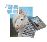 puzzleYOU : Smart Sorted® | Puzzle Photo 1000 pièces « Petit Chaton Rouge sur la tête d'un Poney Shetland Blanc »
