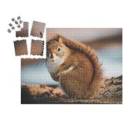 puzzleYOU : Smart Sorted® | Puzzle Photo 1000 pièces « Petit écureuil dans la forêt »