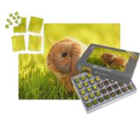 puzzleYOU : Smart Sorted® | Puzzle Photo 1000 pièces « Petit Lapin aux Oreilles Pendantes Assis sur la pelouse »