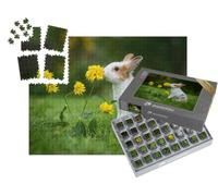 puzzleYOU : Smart Sorted® | Puzzle Photo 1000 pièces « Petit Lapin Curieux »