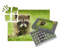puzzleYOU : Smart Sorted® | Puzzle Photo 1000 pièces « Petit Raton Laveur dans l'herbe »
