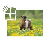 puzzleYOU : Smart Sorted® | Puzzle Photo 1000 pièces « Petite chèvre nigériane dans Un Champ de Fleurs »