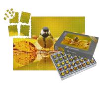 puzzleYOU : Smart Sorted® | Puzzle Photo 1000 pièces « Petite mésange charbonnière dans Les Feuilles d'automne »