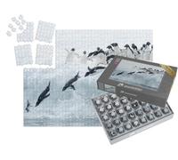 puzzleYOU : Smart Sorted® | Puzzle Photo 1000 pièces « Pingouin Adélie sautant dans l'eau glacée »