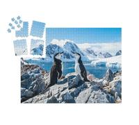 puzzleYOU : Smart Sorted® | Puzzle Photo 1000 pièces « Pingouin torda, Antarctique, Janvier 2019 »