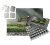 puzzleYOU : Smart Sorted® | Puzzle Photo 1000 pièces « Plantation de Riz : Agriculture au Vietnam, rizière »