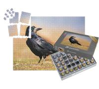 puzzleYOU : Smart Sorted® | Puzzle Photo 1000 pièces « Plumage Noir et Brillant d'un Corbeau freux »