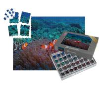 puzzleYOU : Smart Sorted® | Puzzle Photo 1000 pièces « Poisson-anémone du site de plongée Malapascua »