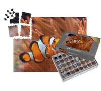 puzzleYOU : Smart Sorted® | Puzzle Photo 1000 pièces « Poisson-Clown dans Un Aquarium d'eau de mer »