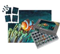 puzzleYOU : Smart Sorted® | Puzzle Photo 1000 pièces « Poisson-Clown Multicolore dans Une anémone du récif corallien »