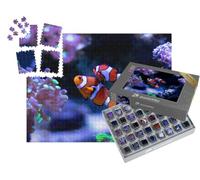 puzzleYOU : Smart Sorted® | Puzzle Photo 1000 pièces « Poisson-Clown nageant dans Un Aquarium »