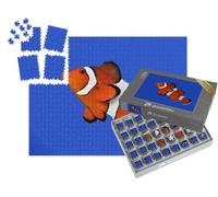 puzzleYOU : Smart Sorted® | Puzzle Photo 1000 pièces « Poisson-Clown Orange, Poisson-Clown percula »