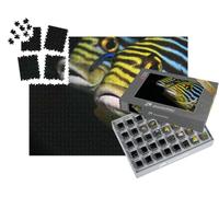 puzzleYOU : Smart Sorted® | Puzzle Photo 1000 pièces « Poisson Oriental à lèvres Douces, Maldives »