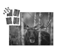 puzzleYOU : Smart Sorted® | Puzzle Photo 1000 pièces « Portrait d'élan, Amérique du Nord »