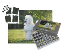 puzzleYOU : Smart Sorted® | Puzzle Photo 1000 pièces « Portrait du Caniche Royal Blanc »