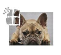 puzzleYOU : Smart Sorted® | Puzzle Photo 1000 pièces « Portrait d'un Adorable Bouledogue français »