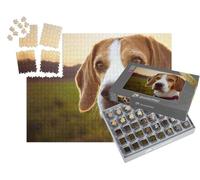 puzzleYOU : Smart Sorted® | Puzzle Photo 1000 pièces « Portrait d'un Beagle au Coucher du Soleil »