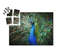 puzzleYOU : Smart Sorted® | Puzzle Photo 1000 pièces « Portrait d'un Beau Paon à la Roue Ouverte »