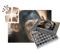 puzzleYOU : Smart Sorted® | Puzzle Photo 1000 pièces « Portrait d'un bébé chimpanzé à Pilsen, République tchèque »